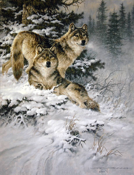 Leanin' Tree Collectors' Card LVL22345 ALPHA PAIR by Larry Fanning